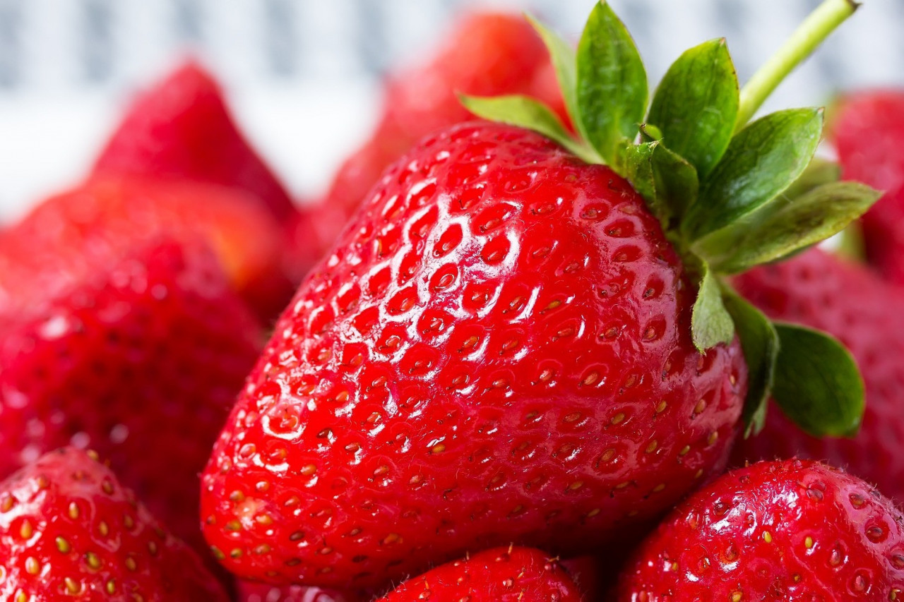 The Power of Polyphenols and Why You Should Manufacture Them