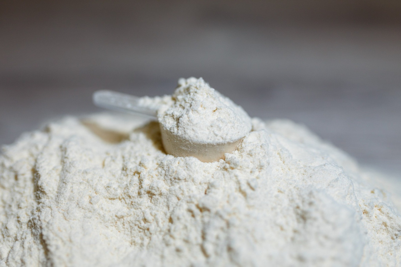 The Power of Protein Powders Through Full-Service Manufacturing