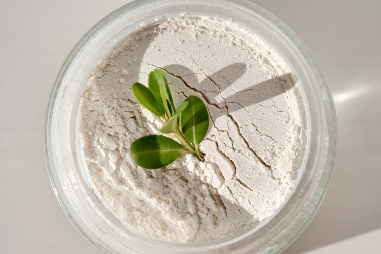 Vegan Supplements for Muscle Building Success