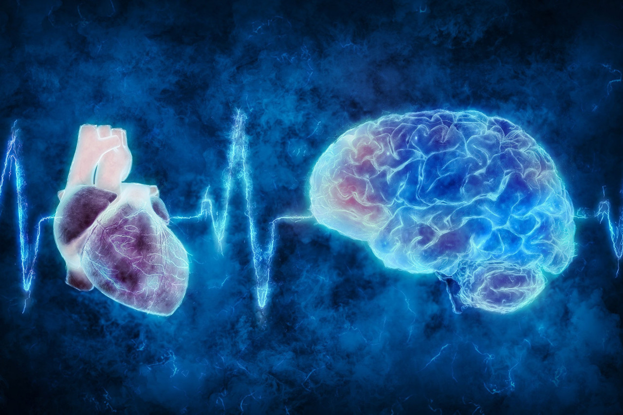 The Vital Connection Between Brain and Heart Health: A Comprehensive Look at the Benefits of Supplements