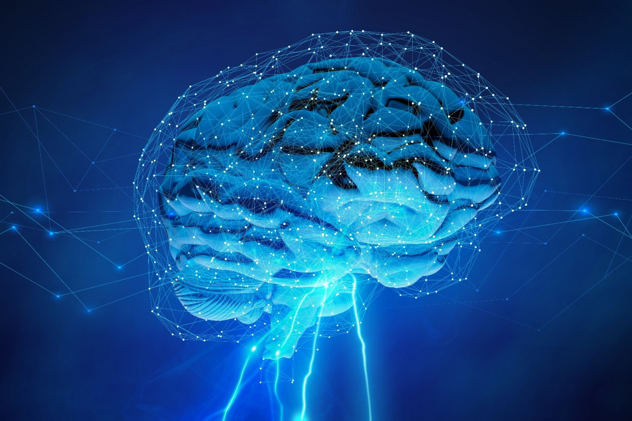 Top Brain-Benefitting Nootropic Supplements for Adults
