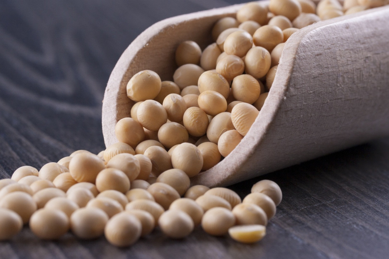 Unlocking the Potential of Nattokinase Through Custom Heart Health Supplement Manufacturing