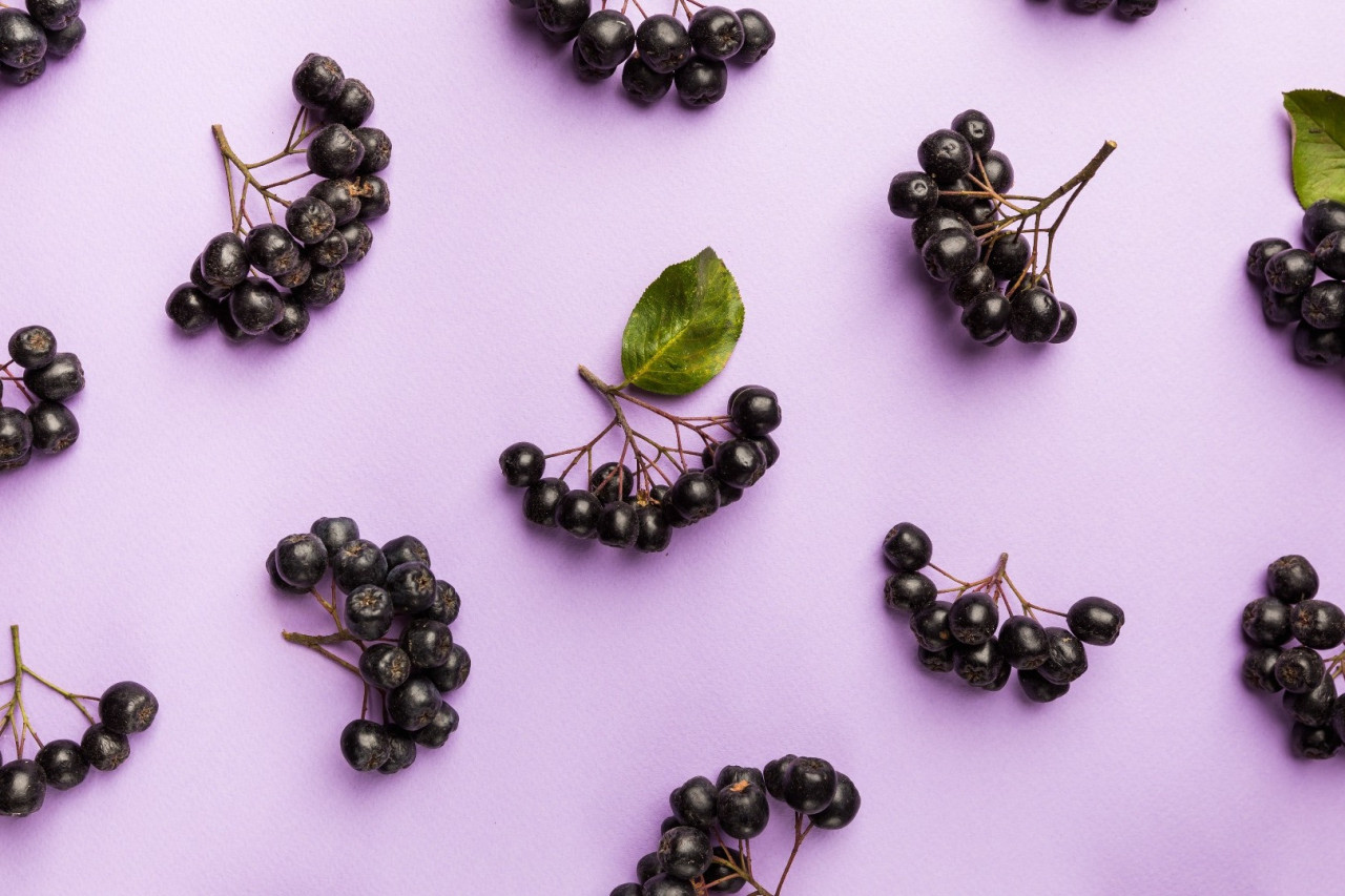 Unveiling the Potential of Manufacturing Aronia Berry Supplements