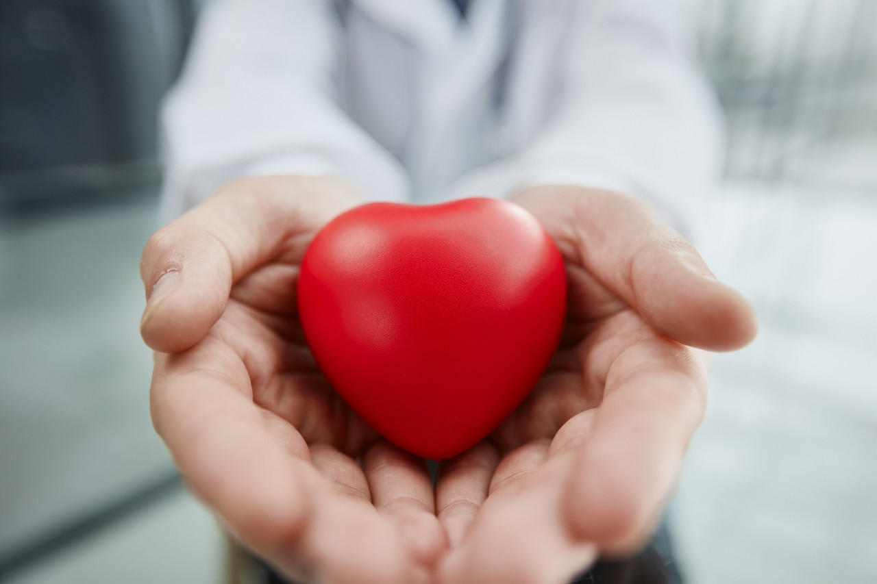 Vitamins and Supplements to Champion Cardiovascular Wellness This February