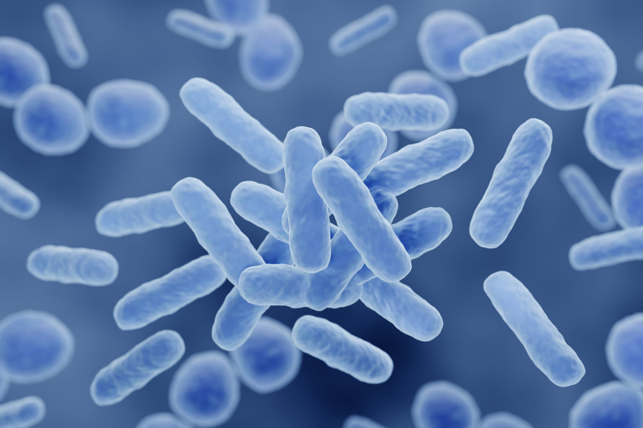Why Urolithin A Could Be the Next Breakthrough Ingredient for Supplement Brands