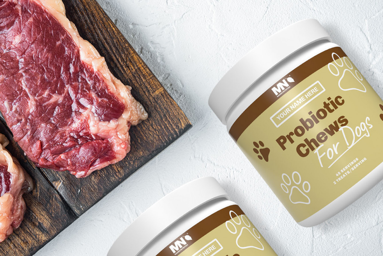 Probiotic Chews for Dogs