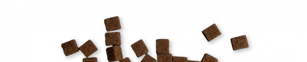 Skin and Coat/Omega-3 Chews for Dogs