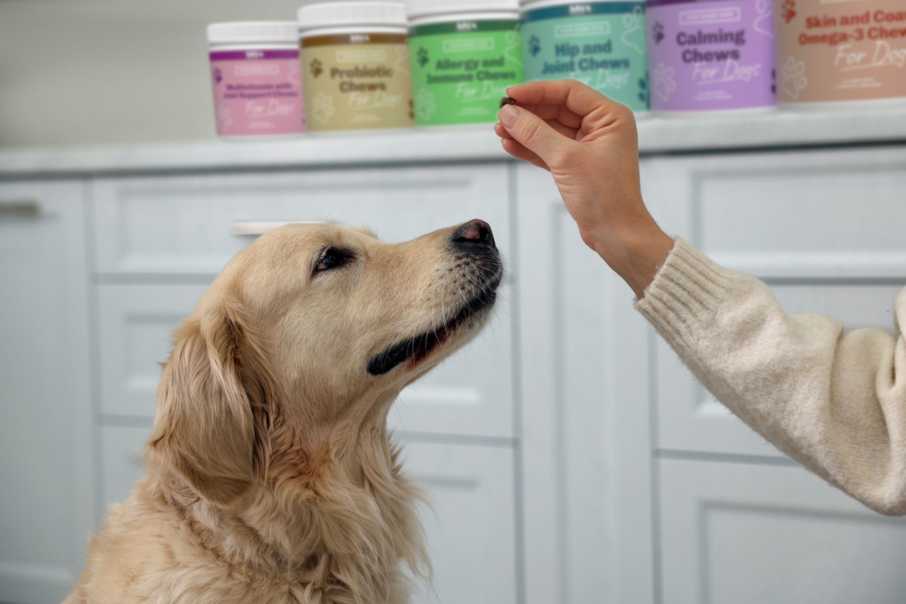 Skin and Coat/Omega-3 Chews for Dogs