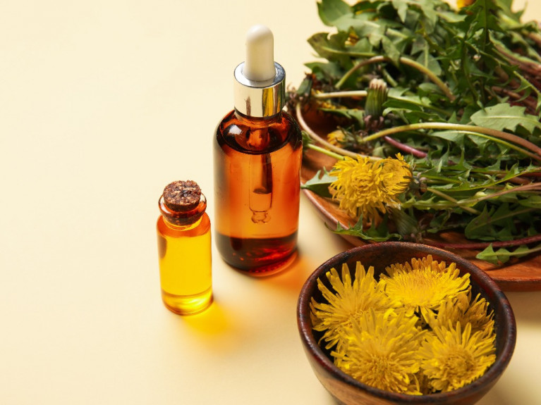 CLA Safflower Oil and Sunflower Oil