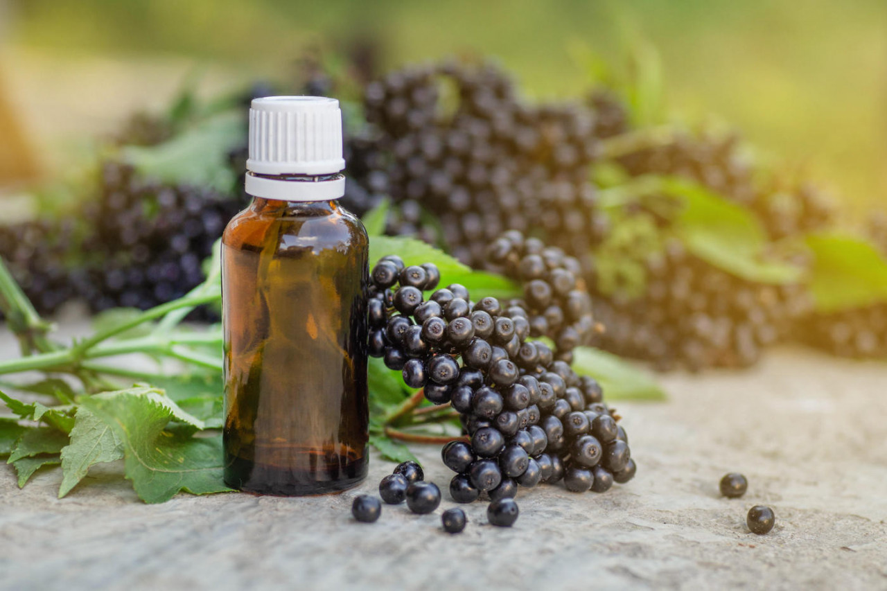 Manufacture The Best Quality Elderberry Supplements