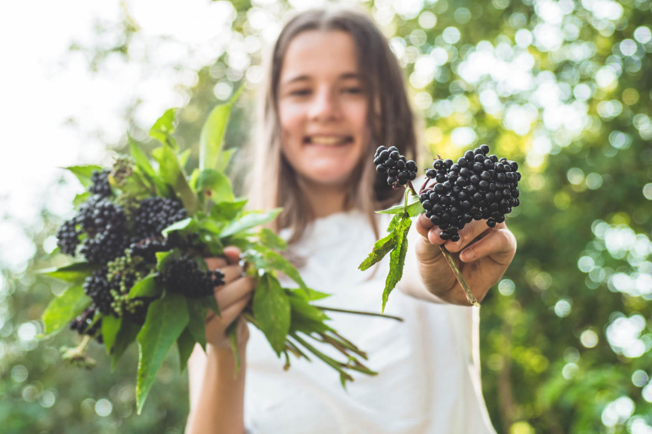 Market Elderberry to Customers Who Travel