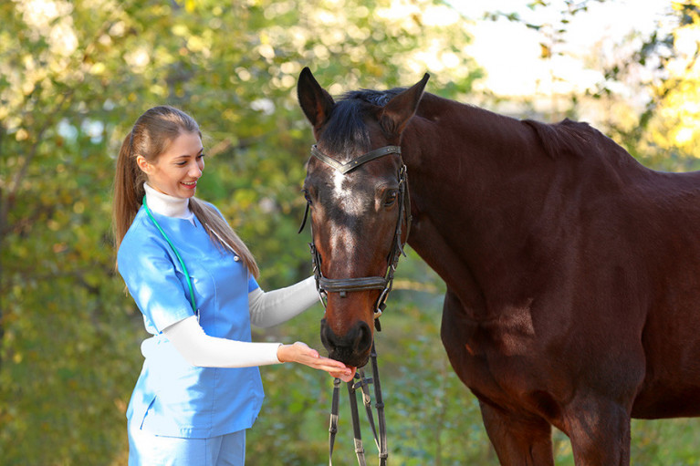 Supplement Manufacturer for Horses, Birds and More