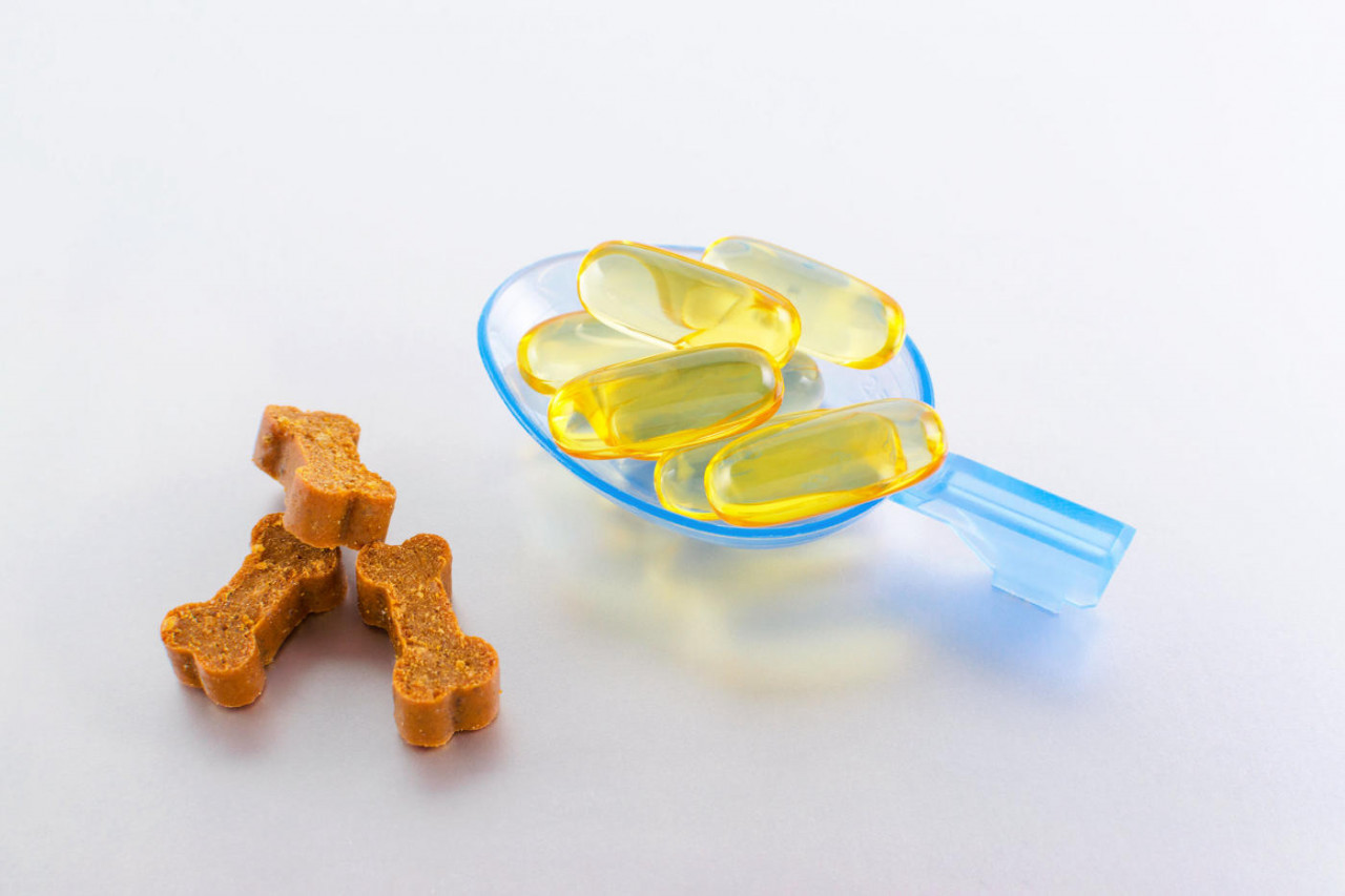 Flavored Supplements for Dogs and Cats