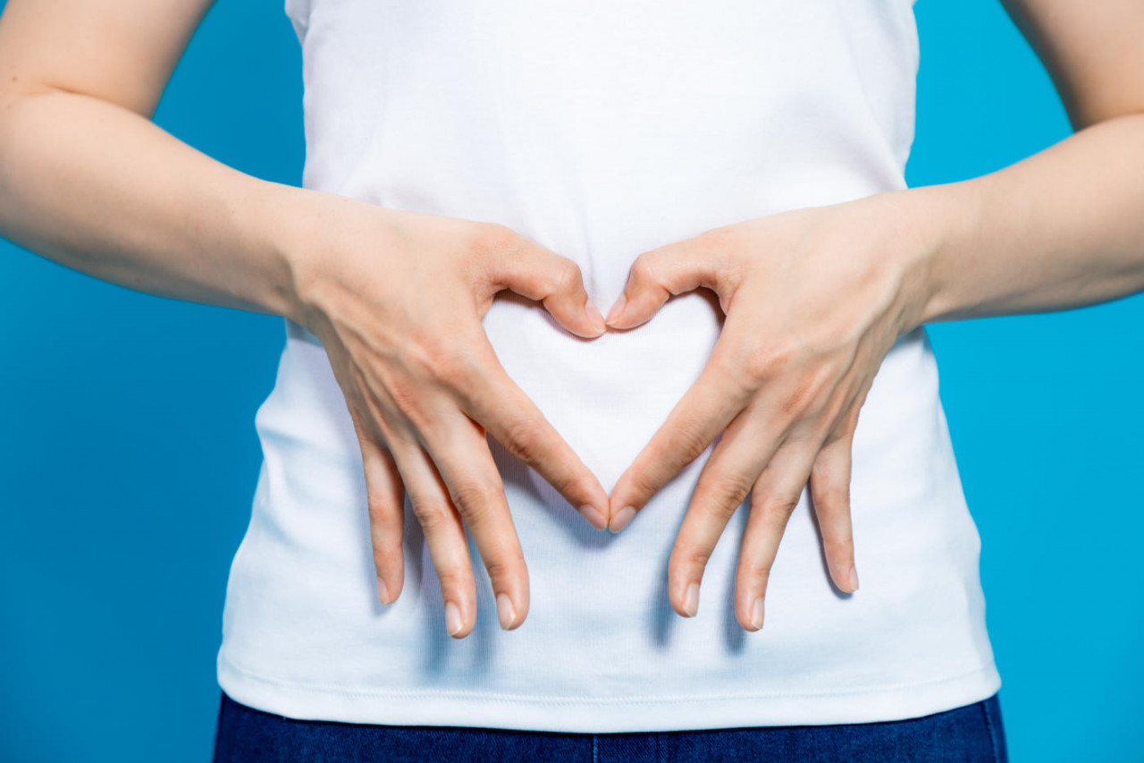 Our Commitment to Vitamin Brands that Sell Probiotics for Digestive Health