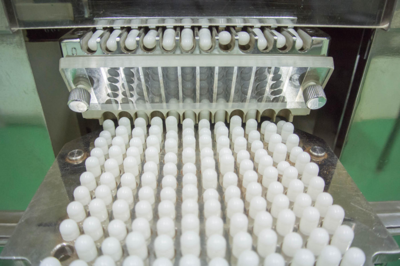 Probiotic Manufacturing Services