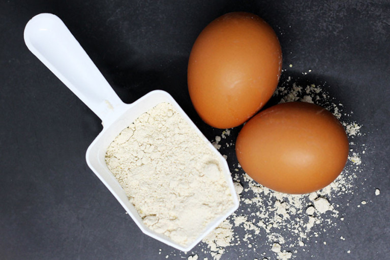 Egg Protein Manufacturer