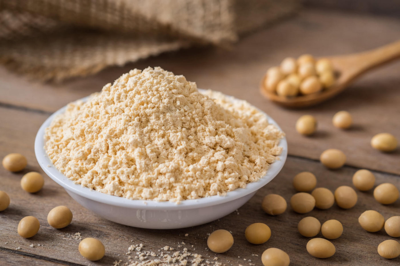 Soy Protein Manufacturing