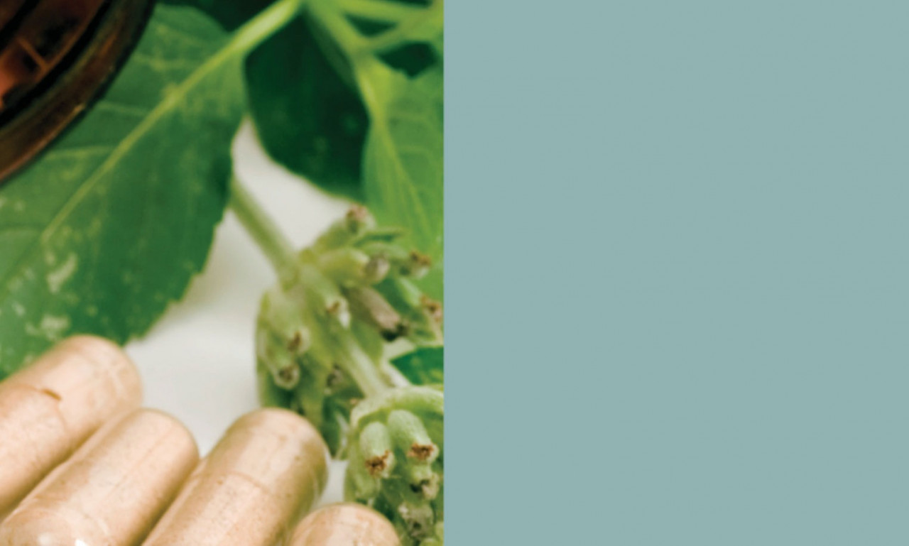 The Change Makers in Supplement Industry