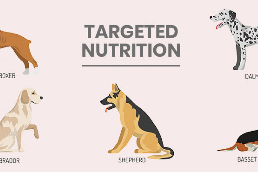 Pet Supplement Manufacturer to the Rescue