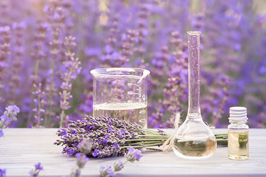Manufacture Valerian & Lavender Supplements for Better Sleep