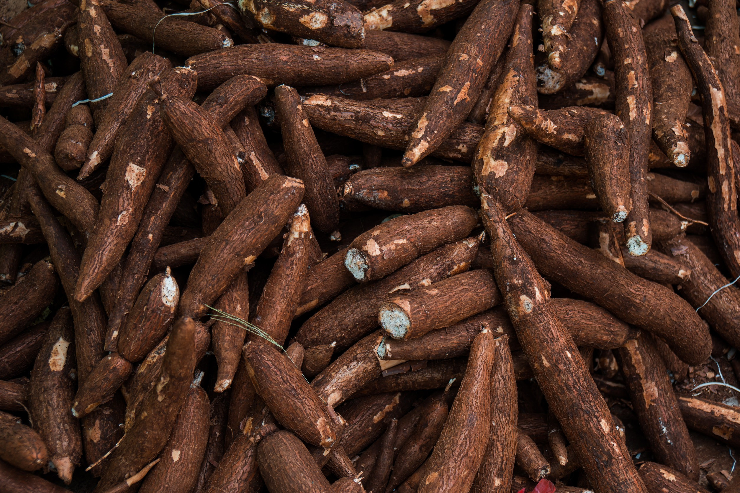 Yuma Root Yucca Root Products Supplement Brands